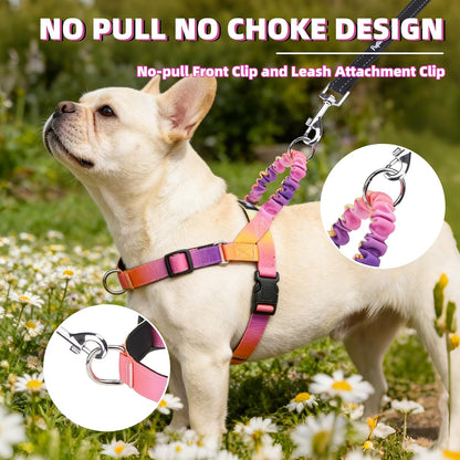 No Pull Dog Harness Small Sized Dog, Adjustable Reflective Pet Vest Harness with Bungee Handle, Escape Proof No Choke Harness for Small Dogs Walking Training, Pink & Purple L