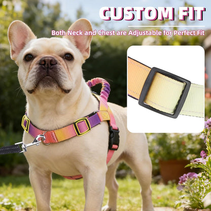 No Pull Dog Harness Small Sized Dog, Adjustable Reflective Pet Vest Harness with Bungee Handle, Escape Proof No Choke Harness for Small Dogs Walking Training, Pink & Purple L
