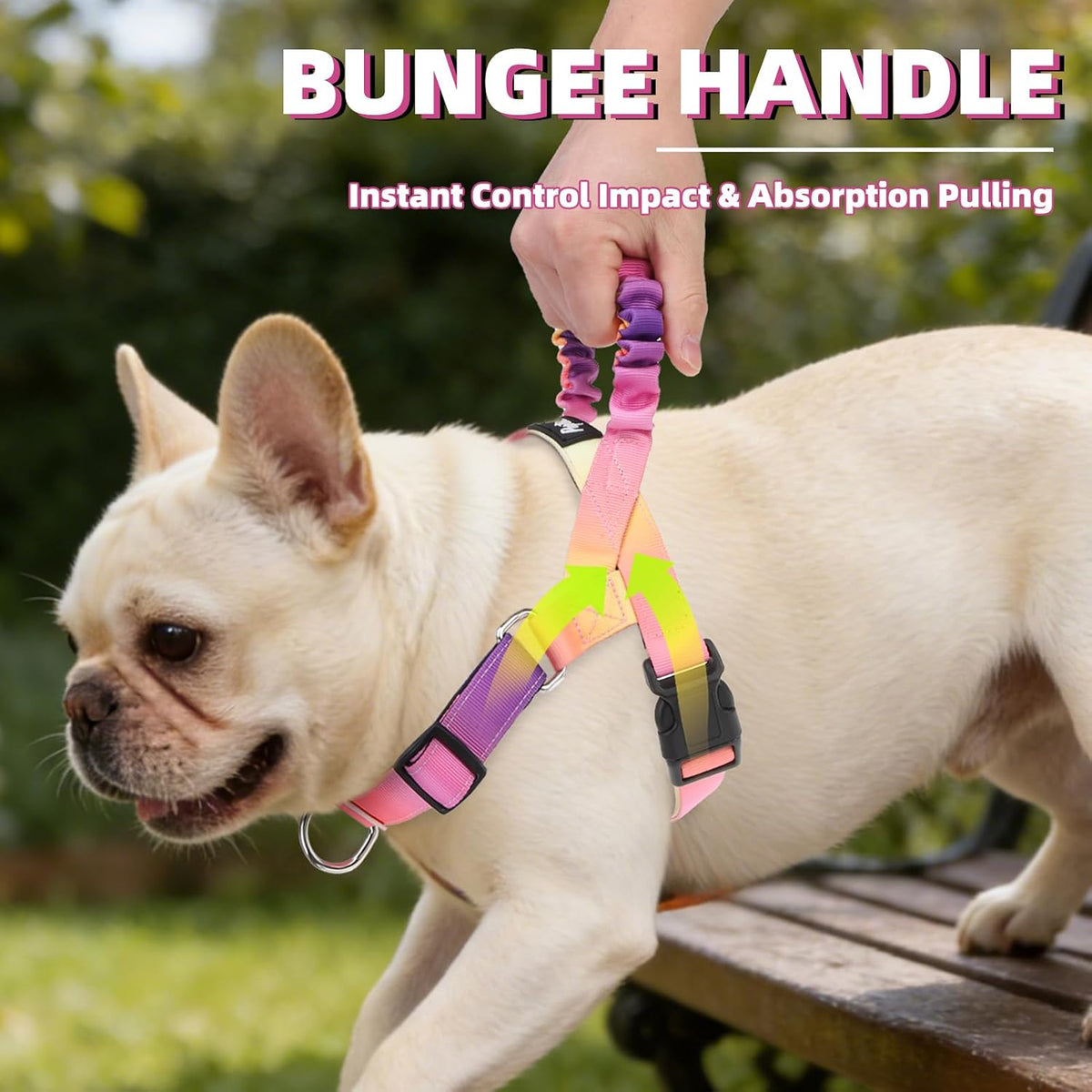 No Pull Dog Harness Small Sized Dog, Adjustable Reflective Pet Vest Harness with Bungee Handle, Escape Proof No Choke Harness for Small Dogs Walking Training, Pink & Purple L