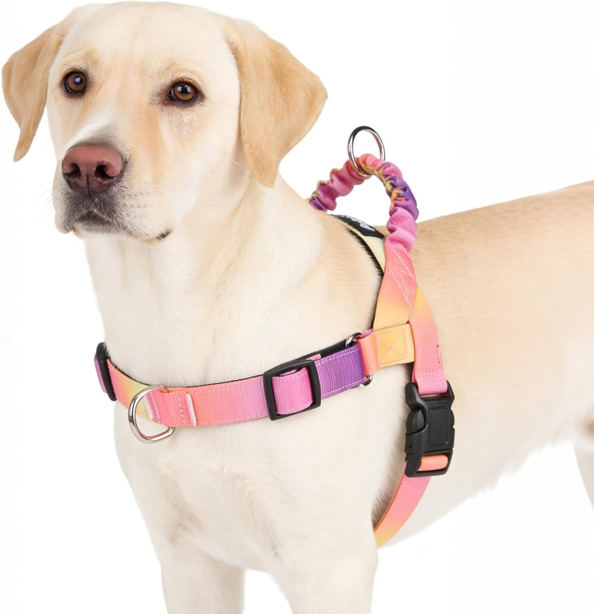 No Pull Dog Harness Small Sized Dog, Adjustable Reflective Pet Vest Harness with Bungee Handle, Escape Proof No Choke Harness for Small Dogs Walking Training, Pink & Purple L