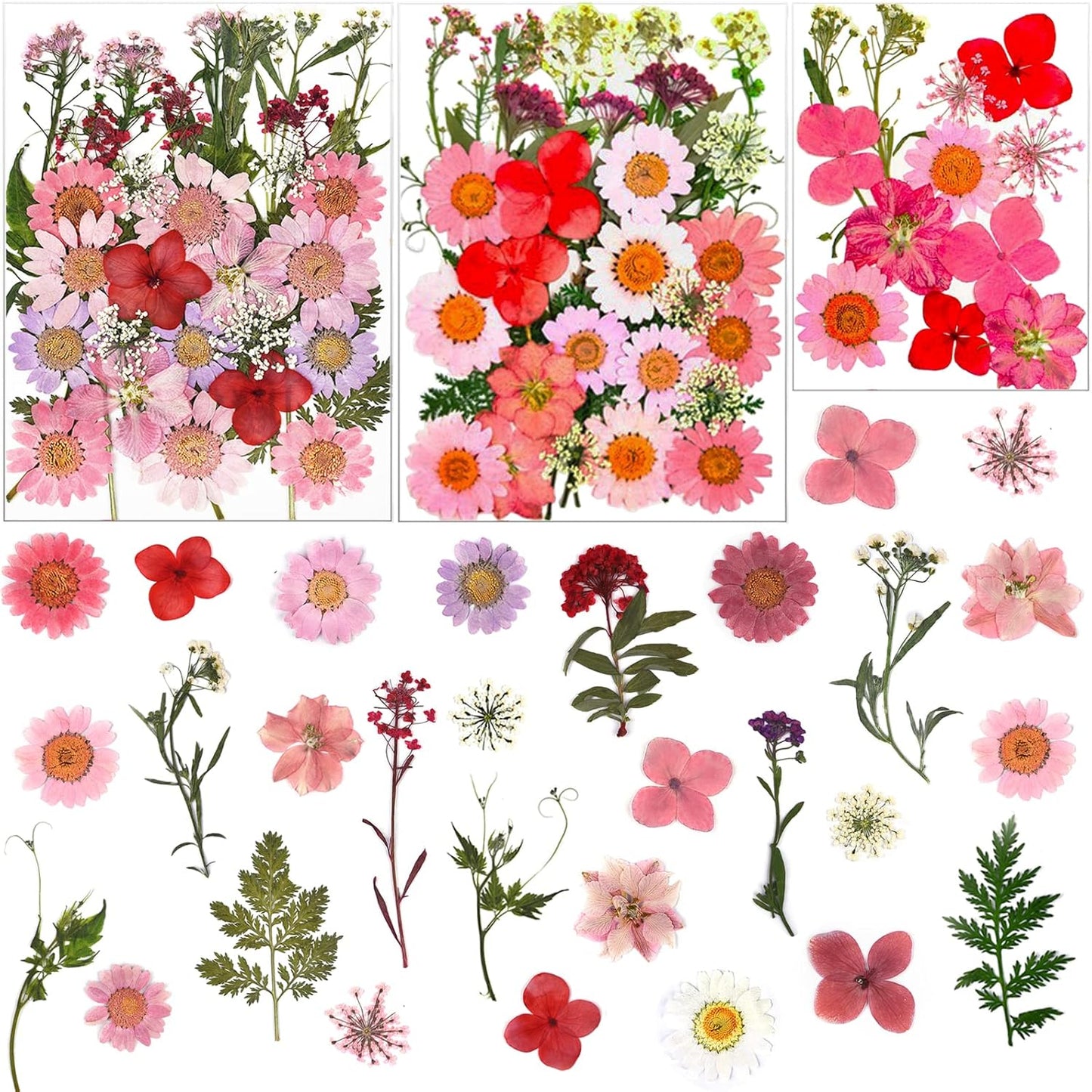 83 Pcs Pink Real Dried Pressed Flowers Natural Leave Petals for DIY Resin Molds Candle Jewelry Nail Crafts