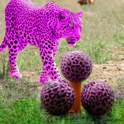 GBM Pink Leopard Print Novelty Golf Balls – Full Leopard Print Color Golf Balls for Gifts, Tournaments, League Events & Collectors, Ladies Golf Accessories, 12 Pack