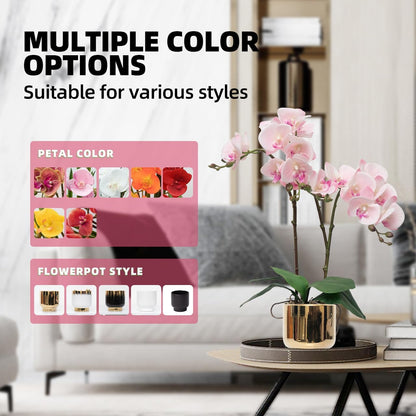 Orchids Artificial Flowers Real Touch Fake Flowers in Ceramic Pot 20" Pink Faux Orchid Plant Lifelike Silk Phalaenopsis for Centerpiece Hotel Home Indoor Decor