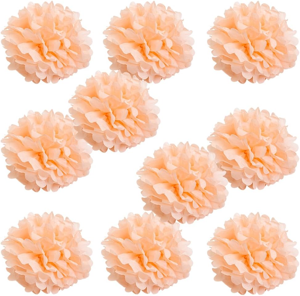 Set of 10 - Peach 8" - (10 Pack) Tissue Pom Poms Flower Party Decorations for Weddings, Birthday, Halloween, Bridal, Baby Showers, Nursery, Décor