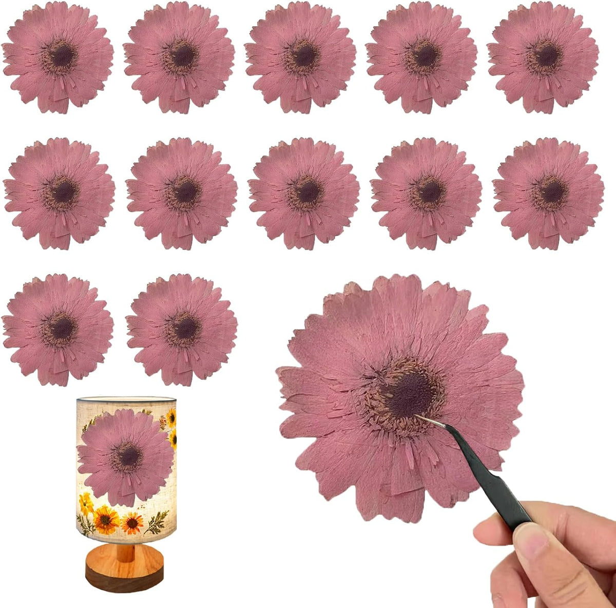 Pink Large Size Dried Sunflowers for Resin Crafts Embellishment, Natural Pressed African Daisy, Gerbera Jamesonii for DIY Jewellery Candle Making Phone Case Home Wedding Decor (3.14-3.54IN)