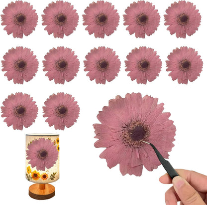 Pink Large Size Dried Sunflowers for Resin Crafts Embellishment, Natural Pressed African Daisy, Gerbera Jamesonii for DIY Jewellery Candle Making Phone Case Home Wedding Decor (3.14-3.54IN)