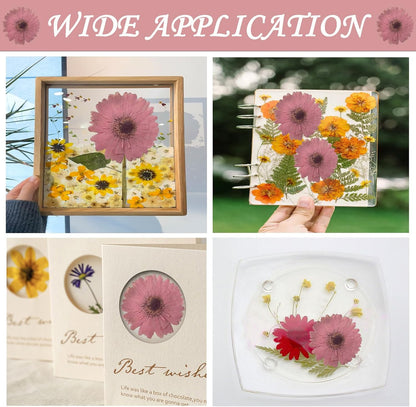 Pink Large Size Dried Sunflowers for Resin Crafts Embellishment, Natural Pressed African Daisy, Gerbera Jamesonii for DIY Jewellery Candle Making Phone Case Home Wedding Decor (3.14-3.54IN)