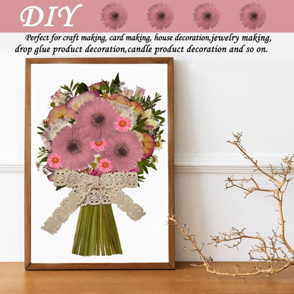 Pink Large Size Dried Sunflowers for Resin Crafts Embellishment, Natural Pressed African Daisy, Gerbera Jamesonii for DIY Jewellery Candle Making Phone Case Home Wedding Decor (3.14-3.54IN)