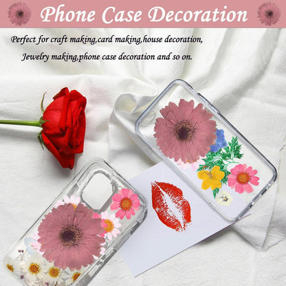 Pink Large Size Dried Sunflowers for Resin Crafts Embellishment, Natural Pressed African Daisy, Gerbera Jamesonii for DIY Jewellery Candle Making Phone Case Home Wedding Decor (3.14-3.54IN)