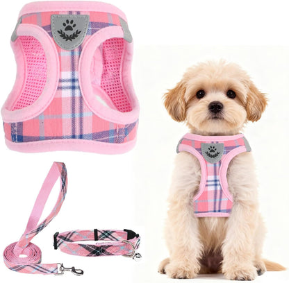 Dog Harness, Collar and Leash Set No Pull for Small Medium Sized