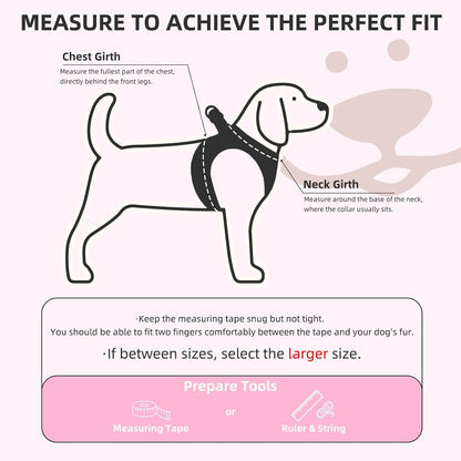 Dog Harness, Collar and Leash Set No Pull for Small Medium Sized