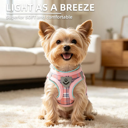 Dog Harness, Collar and Leash Set No Pull for Small Medium Sized