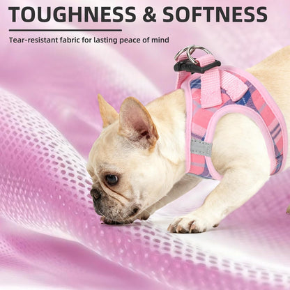 Dog Harness, Collar and Leash Set No Pull for Small Medium Sized