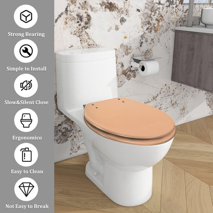 Decorative Peach Toilet Seat Cover, Elongated Concrete Wall Art Design with Quick Release Hinges, Easy to Install, Quietly Close