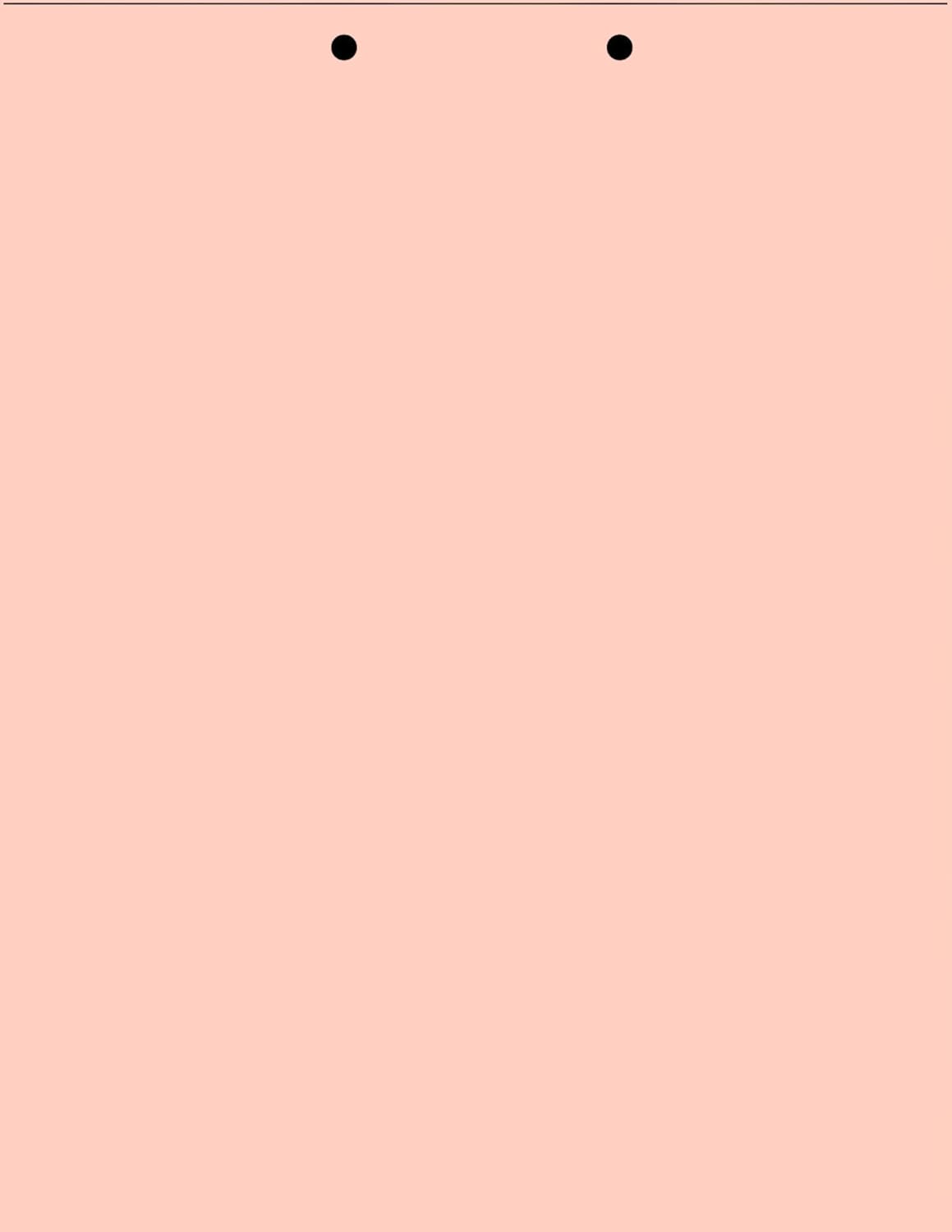 (TM) Writing Copy and Printing Paper, 8.5" x 11", 2 Hole Top-Punched, 20 Pound Text, 500 Sheets Per Ream. (5000, Peach)