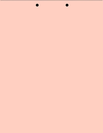 (TM) Writing Copy and Printing Paper, 8.5" x 11", 2 Hole Top-Punched, 20 Pound Text, 500 Sheets Per Ream. (5000, Peach)
