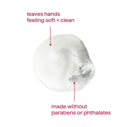 Foaming Hand Wash, Pink Grapefruit, 10 fl oz
