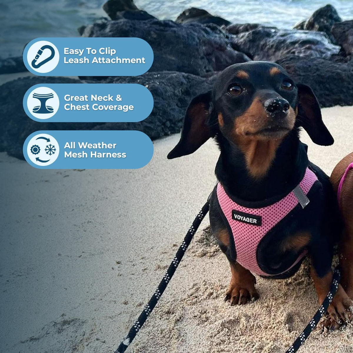 Voyager Step-in Air Dog Vest Harness - Pink/Black Trim, X-Small