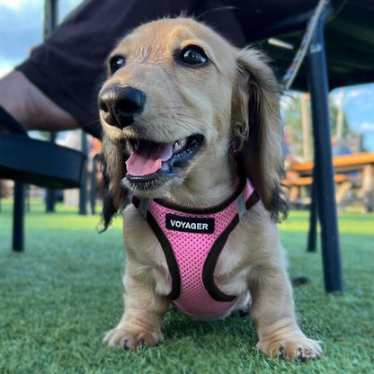 Voyager Step-in Air Dog Vest Harness - Pink/Black Trim, X-Small