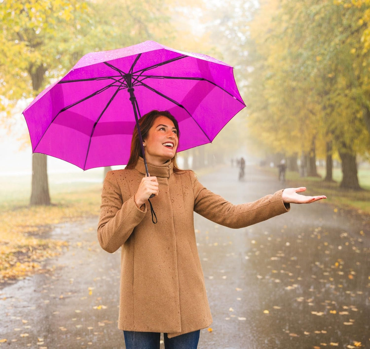 Windproof Travel Umbrella Auto Open Close, Compact 42" Folding Umbrella