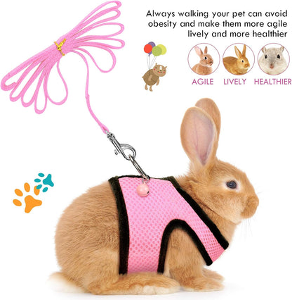 2 Sets Guinea Pig Harness and Leash Kit, Green, Pink, S