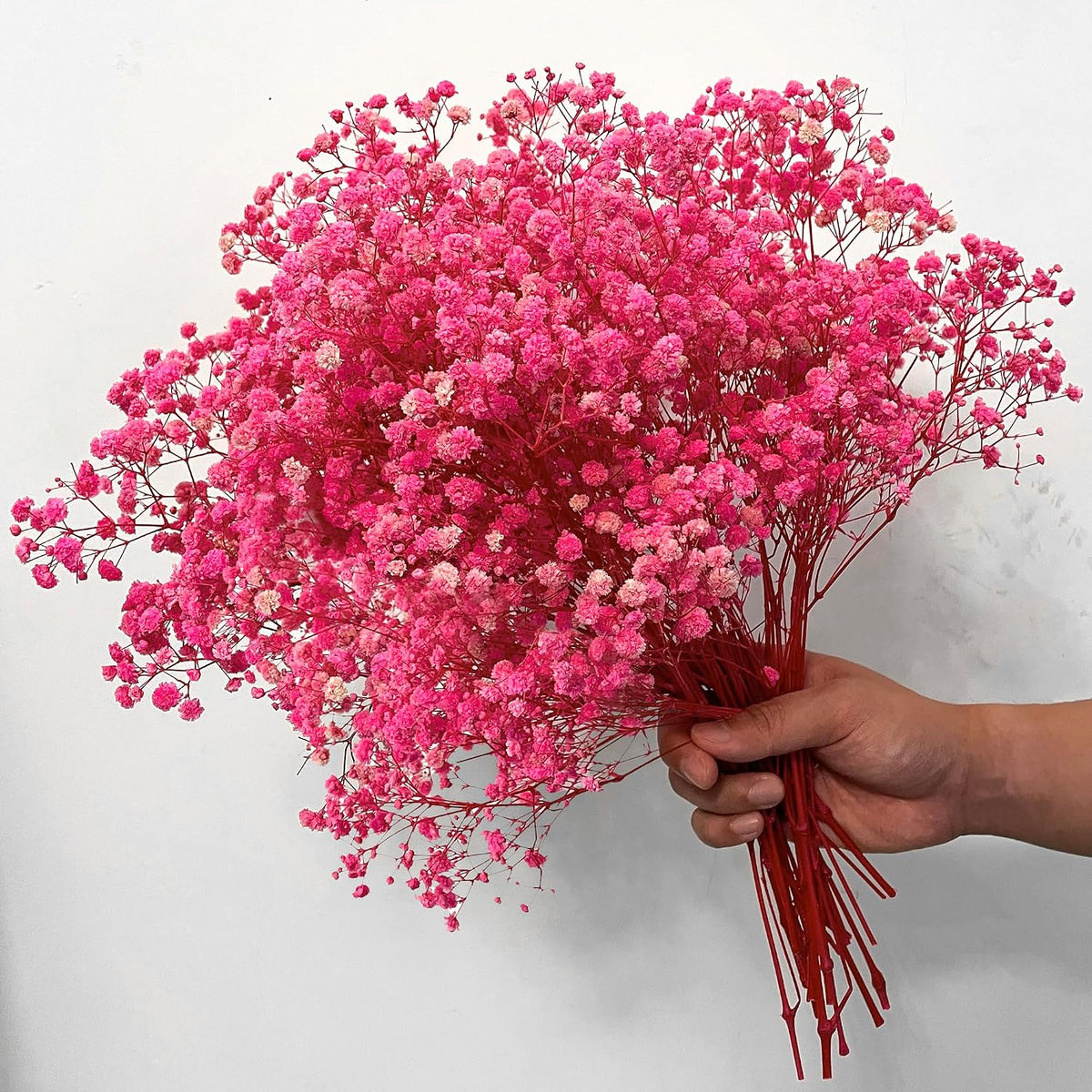 Pink Dried Baby's Breath Flowers, 2.8oz, 17 in, Natural Gypsophila Bouquet