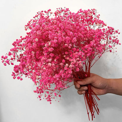 Pink Dried Baby's Breath Flowers, 2.8oz, 17 in, Natural Gypsophila Bouquet