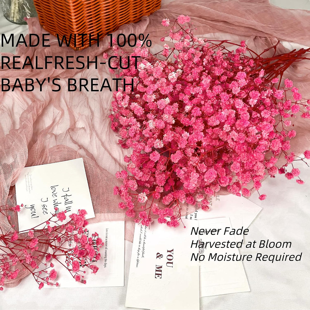 Pink Dried Baby's Breath Flowers, 2.8oz, 17 in, Natural Gypsophila Bouquet