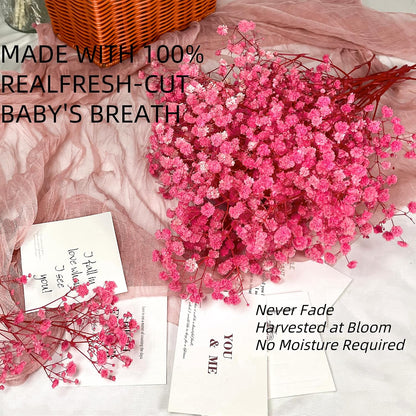 Pink Dried Baby's Breath Flowers, 2.8oz, 17 in, Natural Gypsophila Bouquet