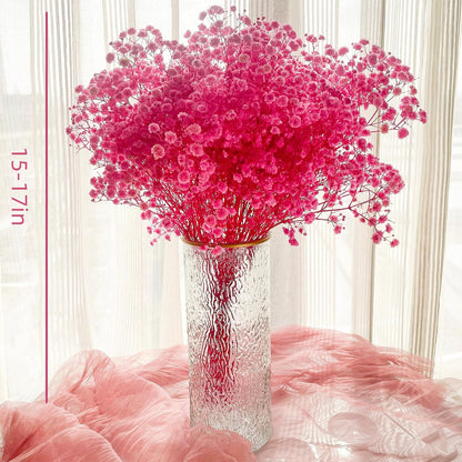 Pink Dried Baby's Breath Flowers, 2.8oz, 17 in, Natural Gypsophila Bouquet