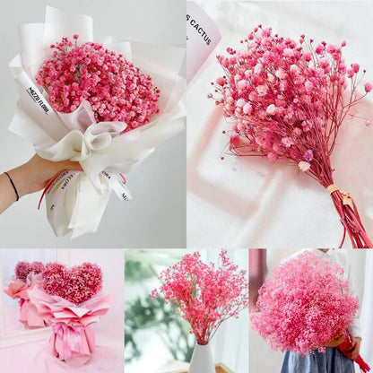Pink Dried Baby's Breath Flowers, 2.8oz, 17 in, Natural Gypsophila Bouquet