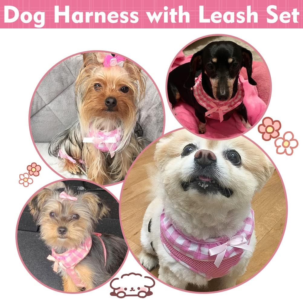 EXPAWLORER Cute Dog Harness and Leash Set - Pink Girl Dog Harness Checkered Step-in Design, Easy Adjustable No-Choke Lightweight Breathable Vest for Puppy Small Dogs Cats Outdoor Walking, X-Small