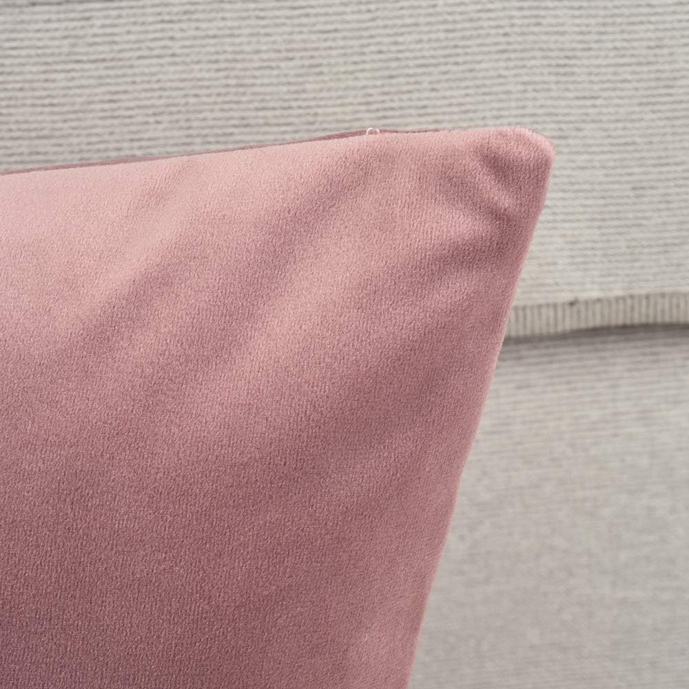Set of 2 Comfortable Throw Pillow Cover for Bedding, Decorative Accent Cushion Sham Case for Couch Sofa, Soft Solid Velvet with Zipper Hidden - 18"x18", Mauve Pink