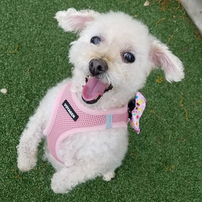 Best Pet Supplies Voyager Step-in Air Harness - All Weather Mesh, Reflective, No Pull Harness for Dogs, Cats - Secure with Hook & Loop Fastener, Buckle, Double D-Rings - Pink, S