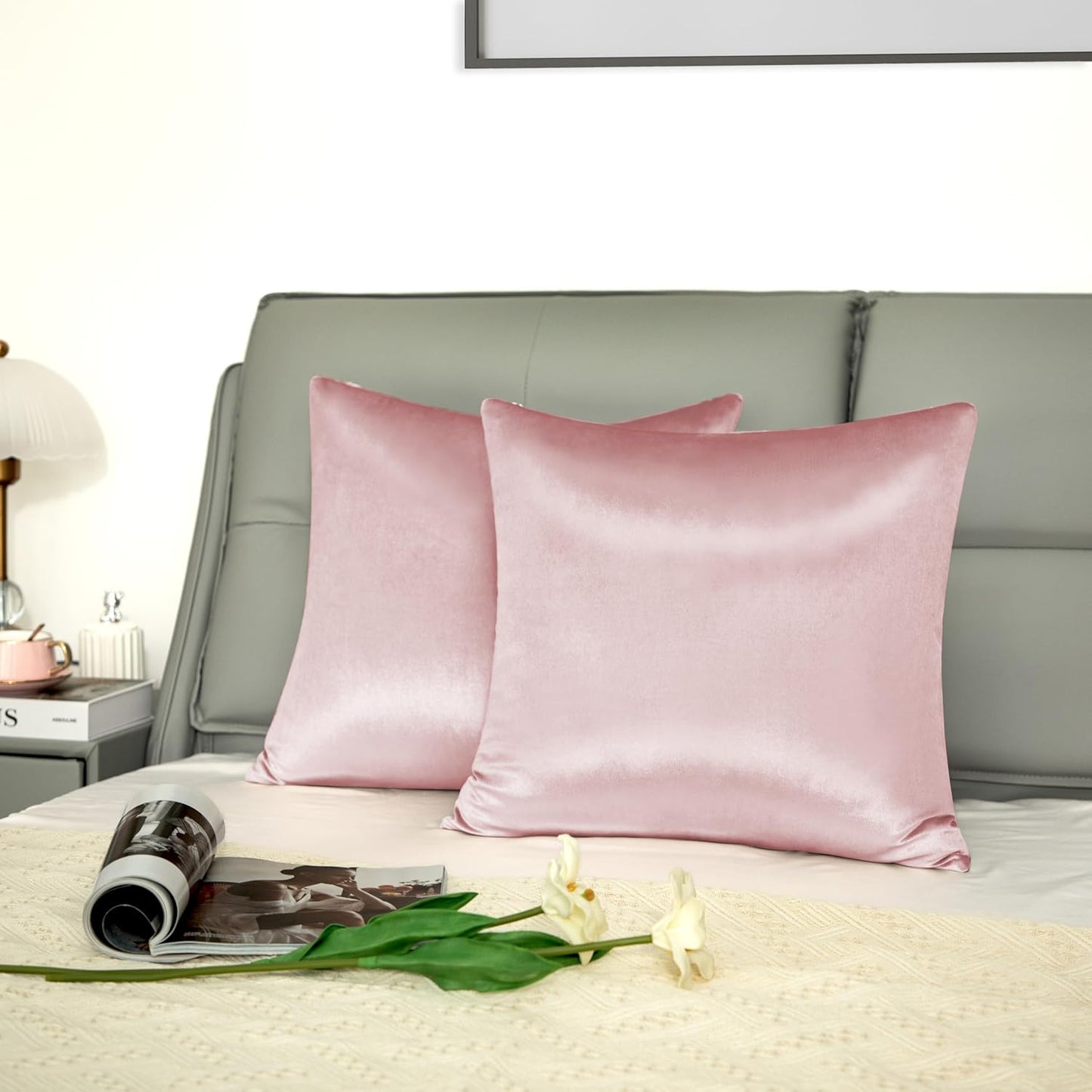 2 Pack Pink Velvet Pillow Covers, 18x18 Inches Decorative Cushion Covers for Couch Sofa Bed, Super Soft and Cozy Luxury, Zippered Design