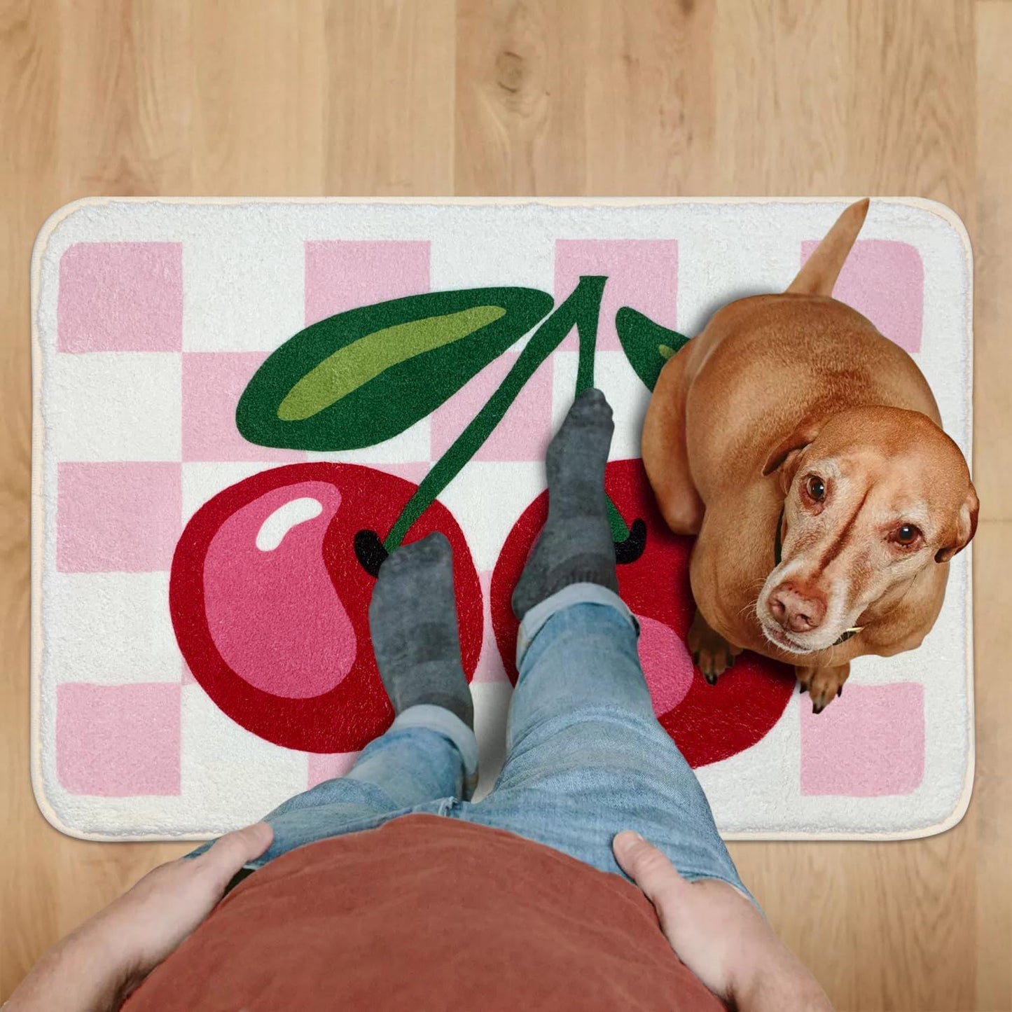 SHIYUE Cute Cherry Bath Mat for Bathroom Checkered, Non Slip Extra Soft Fluffy Absorbent Microfiber Fun Shower Decor (Pink 21"x30")