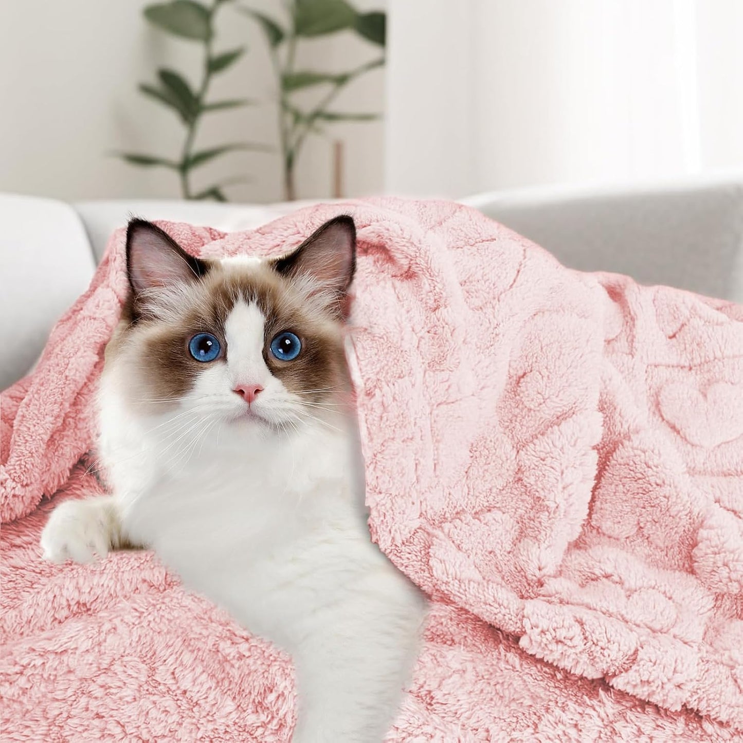 MACEVIA Fluffy Fleece Dog Blankets for Large Dogs,(40x60 Inch, Light Pink) | Warm Soft Washable Pet Bed Cover, Fuzzy Puppy Pets Blanket for Dogs and Cats,Plush Pet Throws for Bed,Couch,Sofa,Travel
