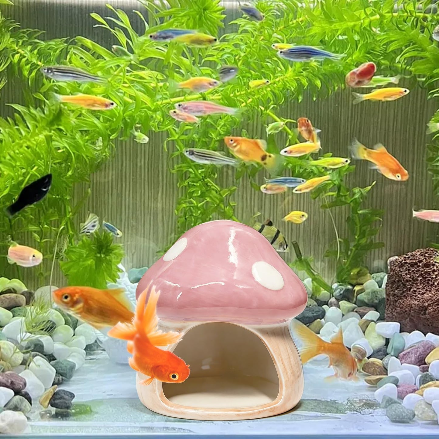 Betta Fish Tank Accessories, 4.33'' × 4.33'' Ceramic Mushroom House Aquarium Decor - Cute Pink Hideout Cave Ornament for Small Fish, Shrimp, Goldfish, Hamsters & Reptiles (Pink)