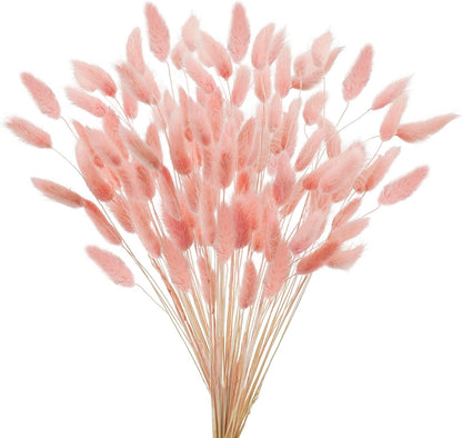 Uieke 17’’ Natural Bunny Tails Dried Flowers, 120 Pcs Dried Lagurus Ovatus, Dried Pink Pampas Grass Decor for Farmhouse Flower Arrangements Wedding Home Boho Party Decorations