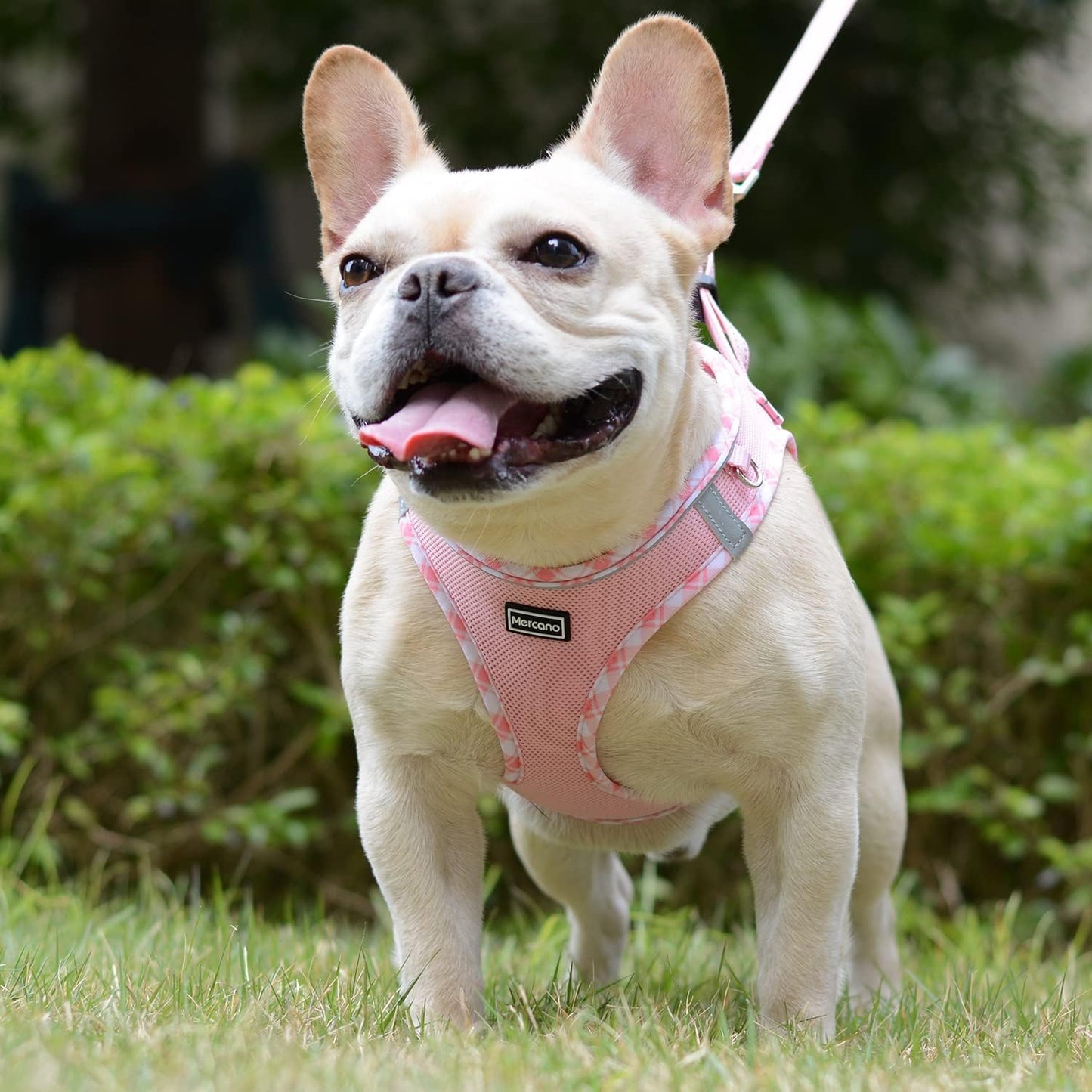Mercano Soft Mesh Dog Harness and Leash Set, Step-in Reflective Breathable Lightweight Vest Harnesses with Safety Buckle for Small Dogs, Cats (Pink, S)