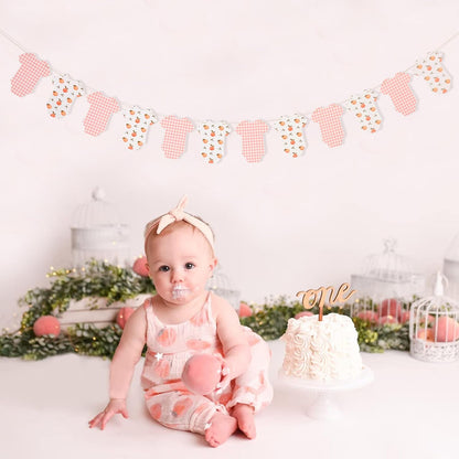 Peach Baby Shower Bodysuit Banner - Peach Party Birthday Decor,Girl Fruit Baby Shower Banner,Pink Gingham Party garland(peach)