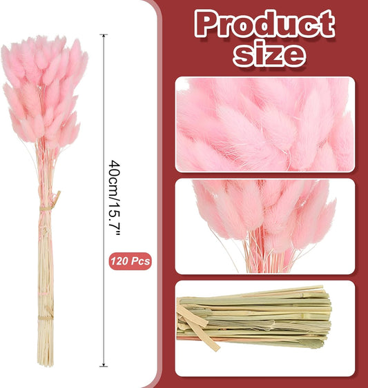PATIKIL 15.7in Bunny Tails Dried Flowers, 120pcs Pampas Grass Decor Rabbit Tail Natural Pampas Grass Bulk Fluffy Faux Pampas Grass Dried for Home Boho Decor Vase Wedding Table, Pink