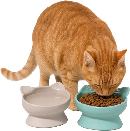 Kitty City Elevated Cat Bowls (Set of 2), Whisker-Friendly Raised Cat Food & Water Dishes, Modern Pedestal Design, Dishwasher Safe, 6.5 oz Each – Pink & Teal