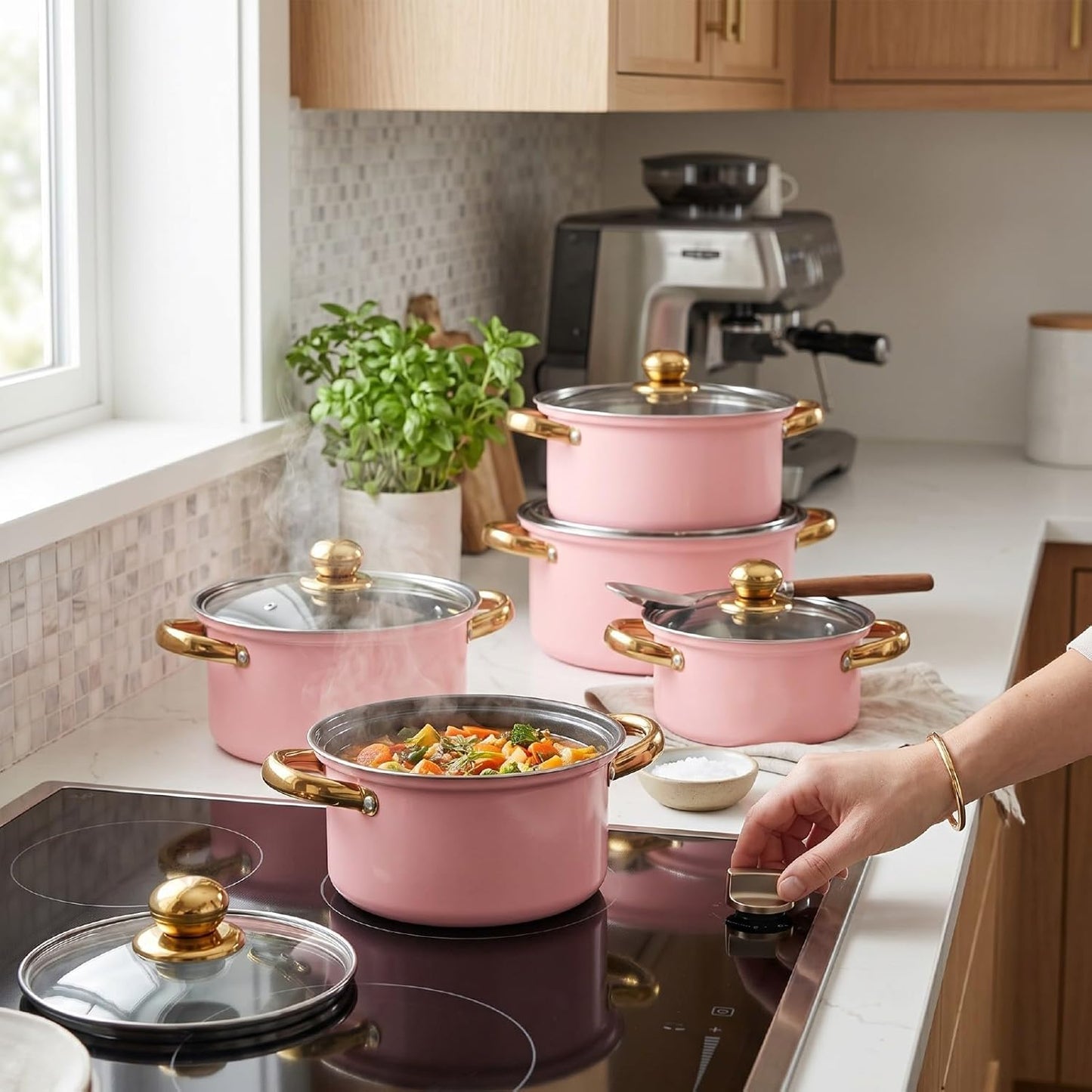 Zerodis 5Pcs Stainless Steel Stock Pot Sets, 16cm/18cm/20cm/22cm/24cm Sauce Pans with Transparent Glass Lids and Handles for Kitchen Cooking Boiling Frying Stewing (Pink)