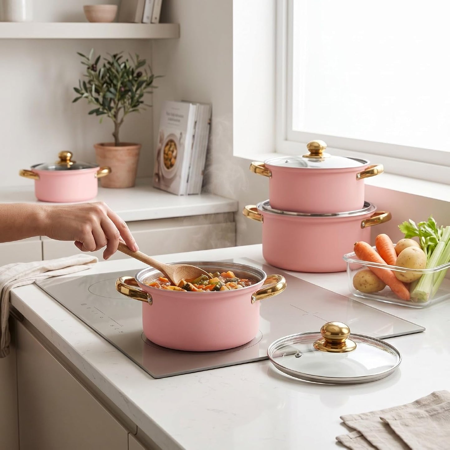 Cookware Set Stainless Steel, 5 Piece Pot Set with Glass Lids Ranging 16cm to 24cm for Boiling Simmering Frying, Dual Handle Easy Grip (Pink)