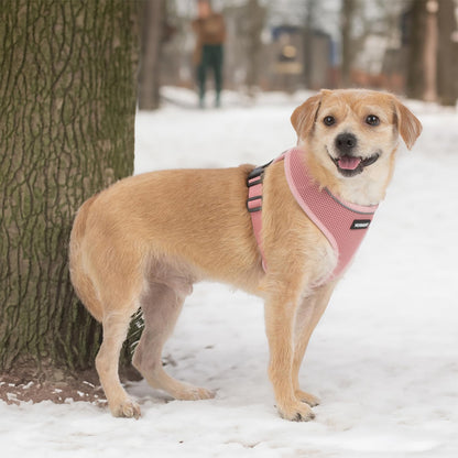 Best Pet Supplies Voyager Aerolite Over the Head Dog Harness, No Pull Breathable Air Mesh Vest, Quick Dry with Reflective Stitching, Adjustable Escape Resistant Harness - Pink, Small