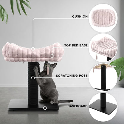 Modern Scratching Post for Indoor Cats - 15” High Cat Scratching Post with Bed Breeds - 15.7” x 11.6” Removable & Washable Cushion (Black Post with Pink Bed)