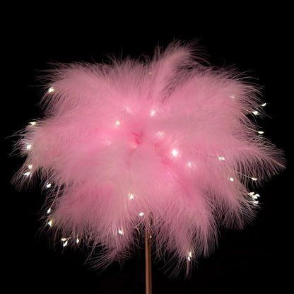 BDUSXYZ Pink Feather Lamp - LED Atmosphere Feather Night Lights Bedside Lamps for Mother, Girlfriend Home Girl Room Wedding Decoration (2PCS)
