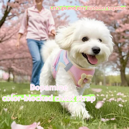 Floral Mesh Dog Harness with Matching Leash, Pink, L (16-20lbs) | Lightweight Pet Vest, Suitable For Small And Medium-sized Cats And Dogs, Yellow Option Available