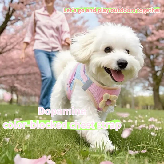 Floral Mesh Dog Harness with Matching Leash, Pink, L (16-20lbs) | Lightweight Pet Vest, Suitable For Small And Medium-sized Cats And Dogs, Yellow Option Available